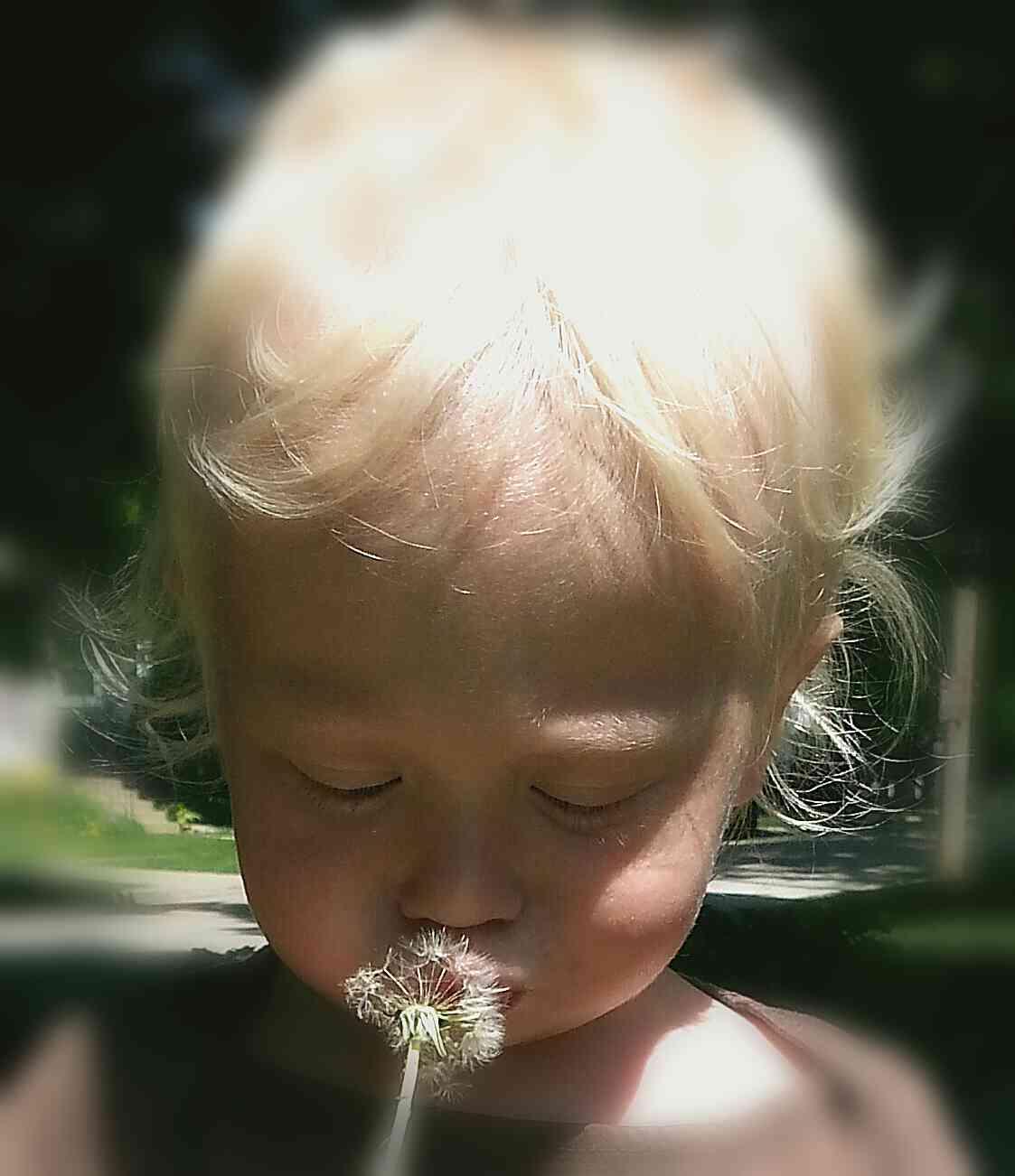 Smelling dandelions - Elizabeth Ott
